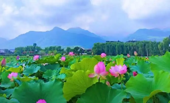 图片2.png 图片